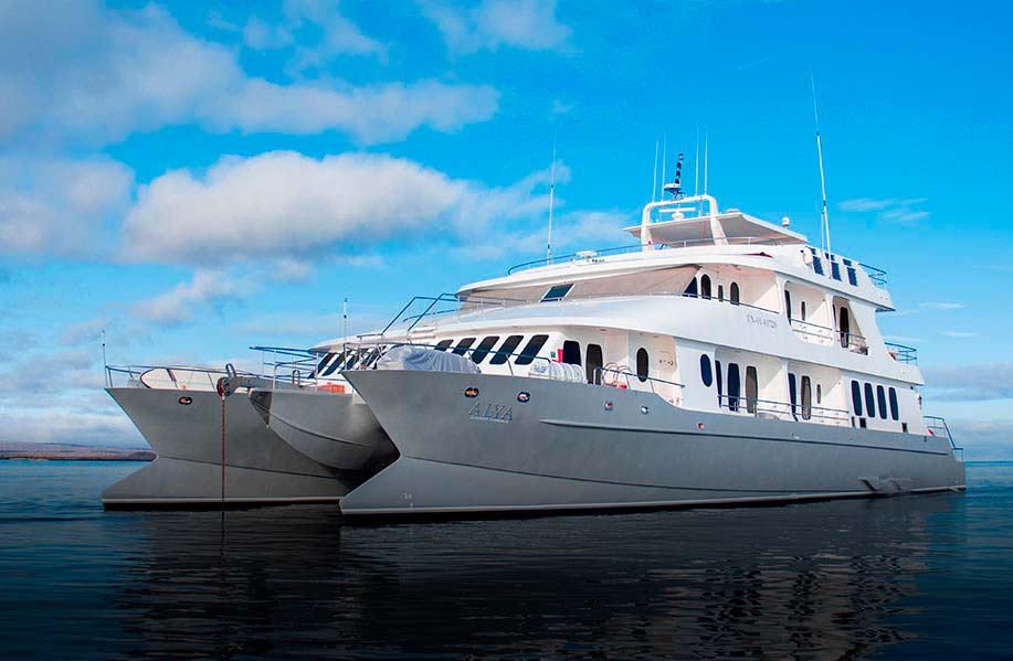 Alya Luxury Catamaran - Galapagos Cruise
