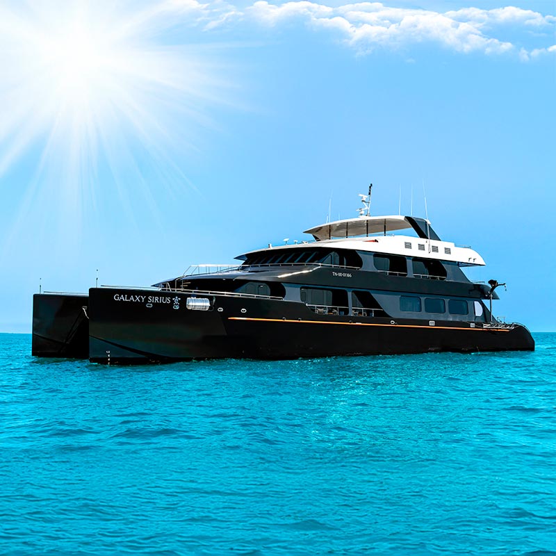Sirius Luxury Catamaran - Galapagos Cruise